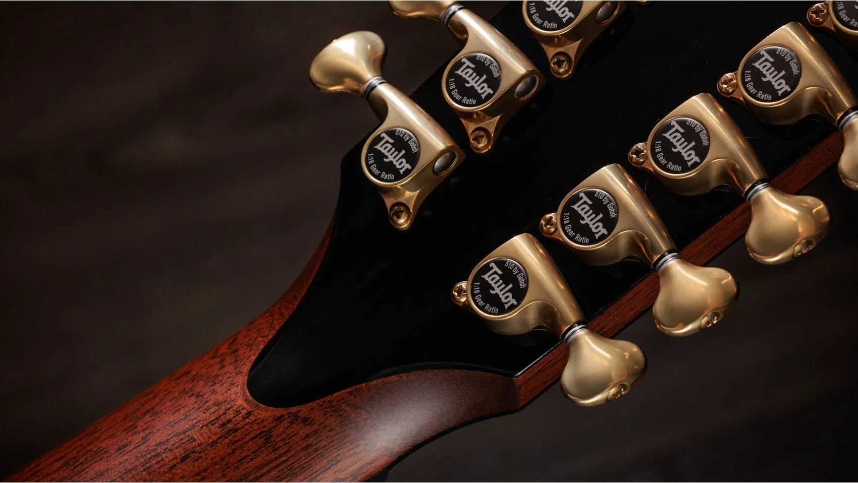 Đàn Guitar Acoustic 12-dây Taylor PS54ce - Natural