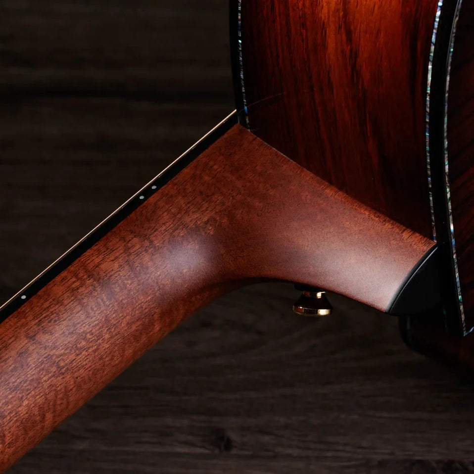 Đàn Guitar Acoustic 12-dây Taylor Next Generation PS54ce - Natural
