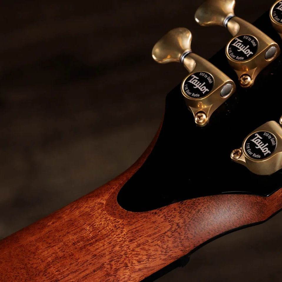Đàn Guitar Acoustic 12-dây Taylor Next Generation PS54ce - Natural