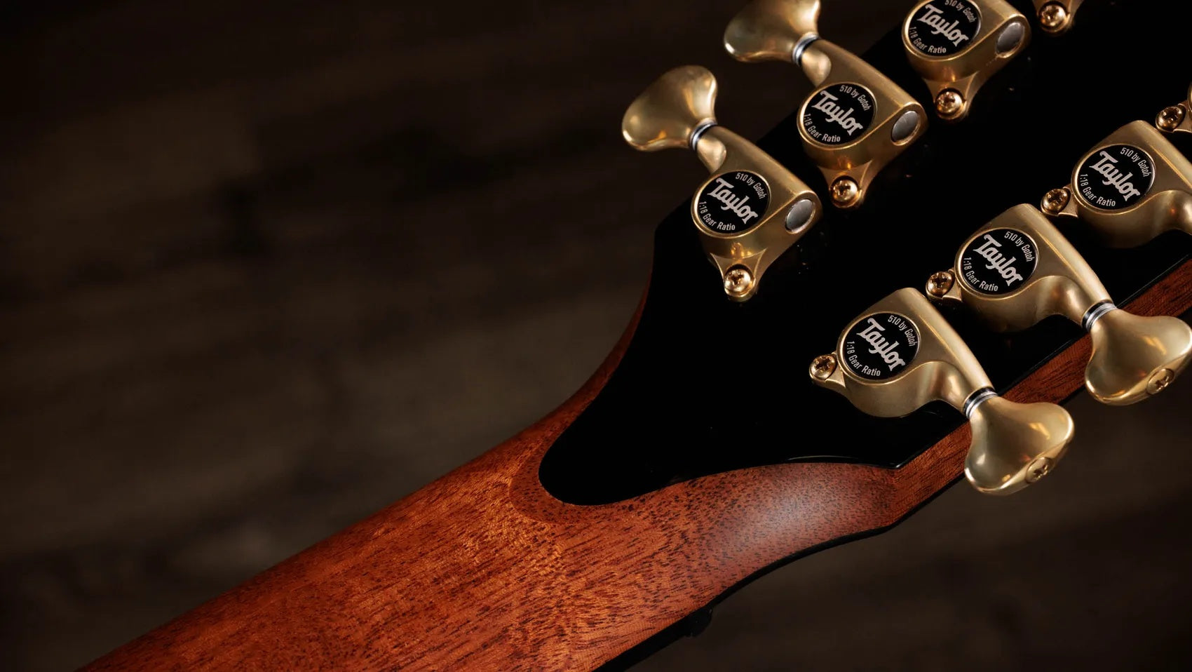 Đàn Guitar Acoustic 12-dây Taylor Next Generation PS54ce - Natural