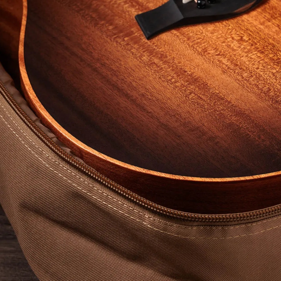 Đàn Guitar Acoustic Taylor Sunset Blvd 24ce - Sunset Edgeburst