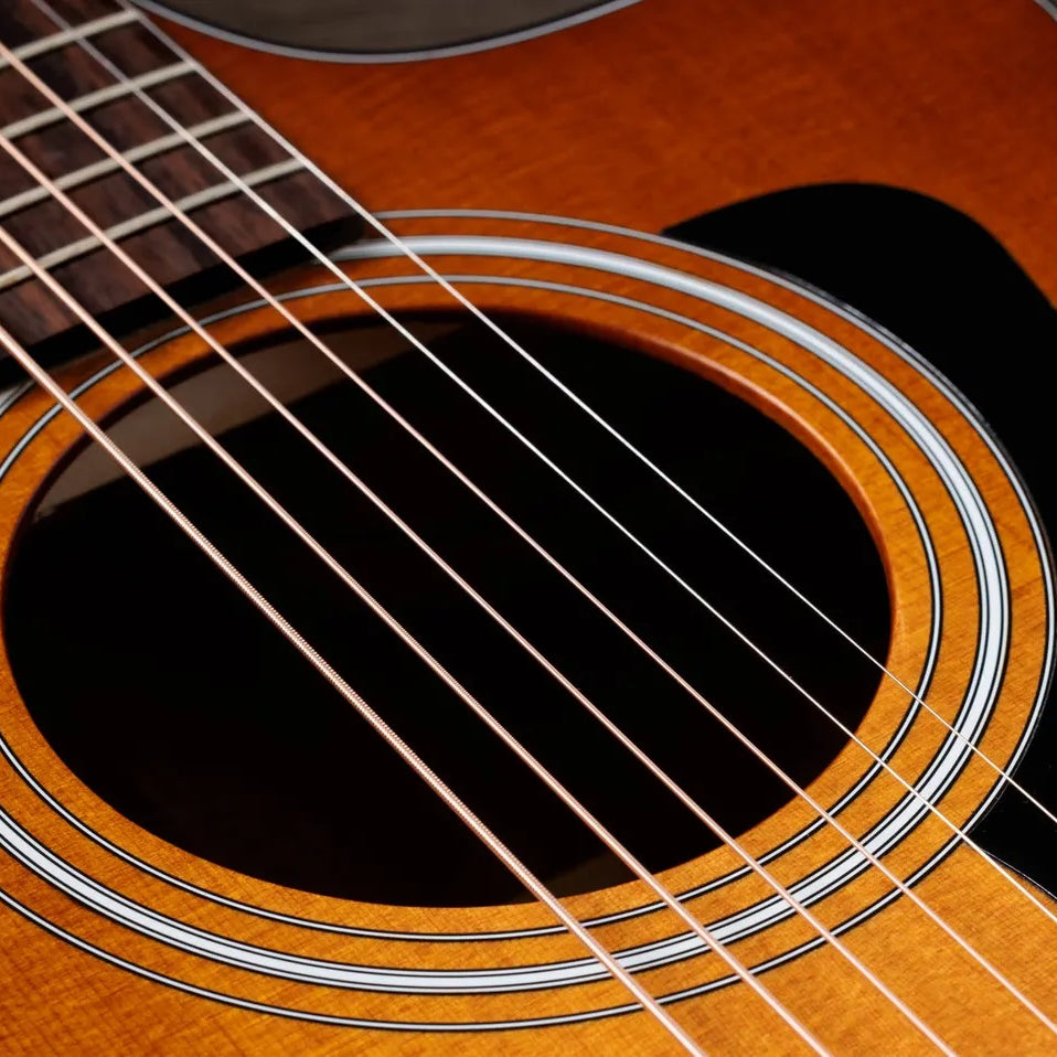 Đàn Guitar Acoustic Taylor 112ce Special Edition - Honeyburst