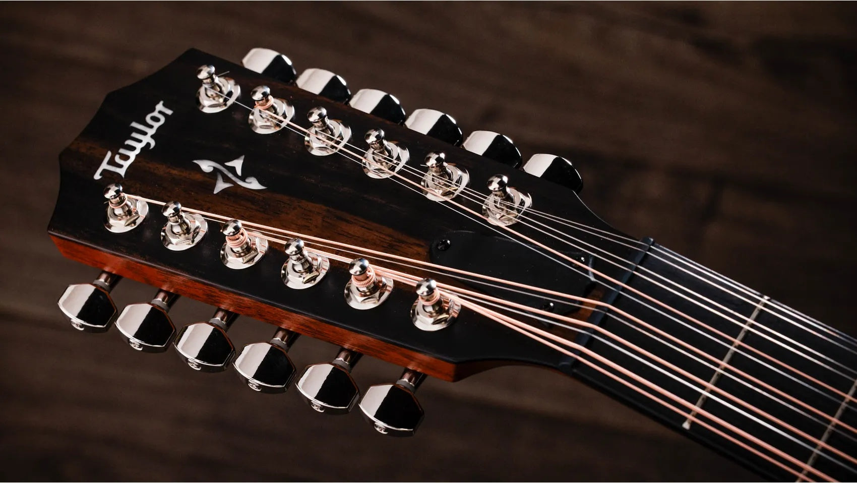 Đàn Guitar Acoustic 12-dây Taylor 454ce