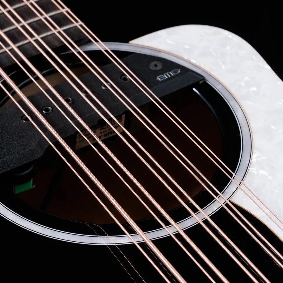 Đàn Guitar Acoustic 10-dây Taylor 250ce Plus Bajo Quinto - Black