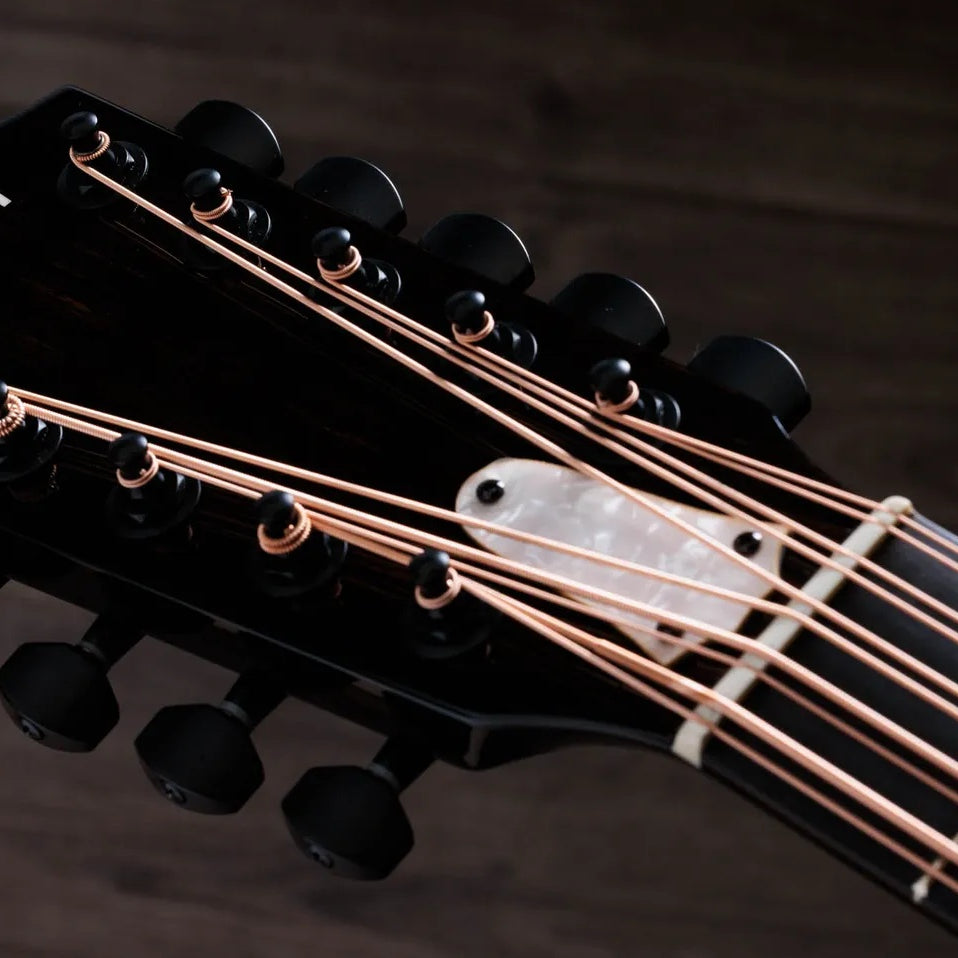 Đàn Guitar Acoustic 10-dây Taylor 250ce Plus Bajo Quinto - Black