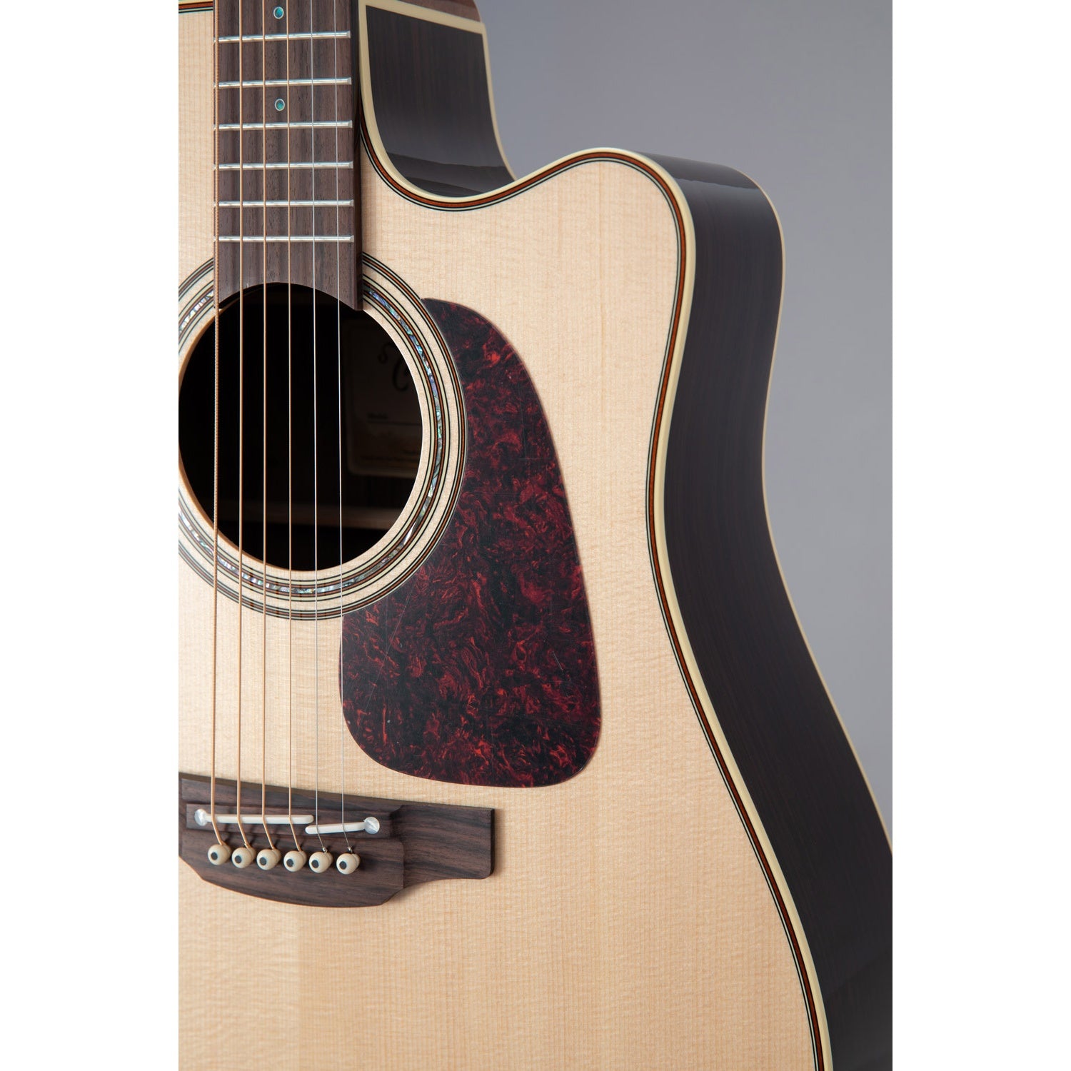 Đàn Guitar Acoustic Takamine P5DC-Mai Nguyên Music