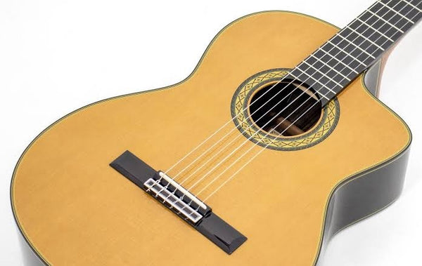 Concert Cutaway