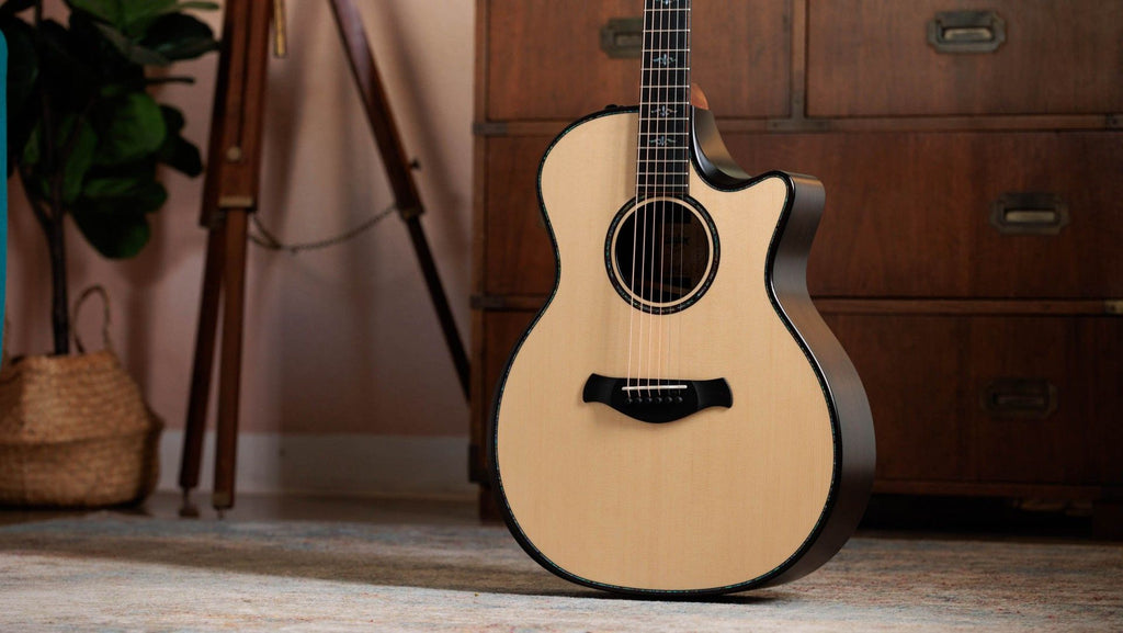Đàn Guitar Acoustic Taylor 914ce Builder's Edition, Natural
