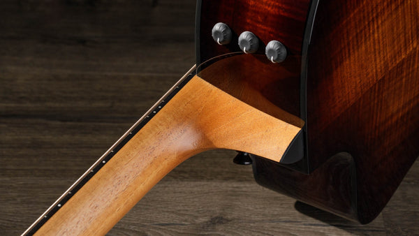 Hệ thống Pickup ES2 trên Taylor 224ce-Koa Deluxe