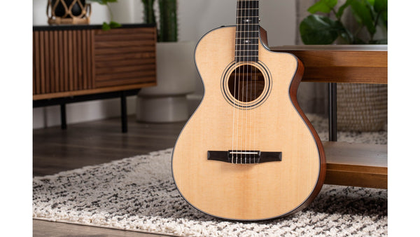 Đàn Guitar Acoustic Taylor 312ce-N w/Case
