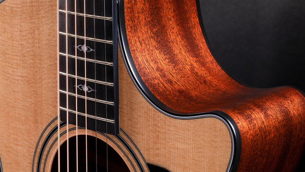 Soft Cut-away trên Taylor 312ce 12-Fret