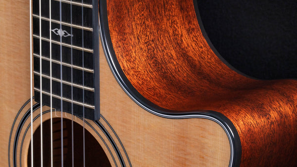 Đường cắt Cut-away trên Taylor 314ce-N