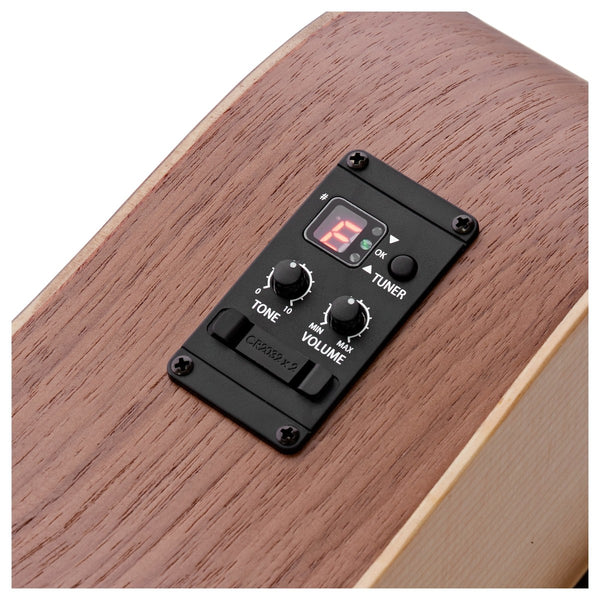 Pickup ES-B và bộ điều khiển trên Taylor BTTe