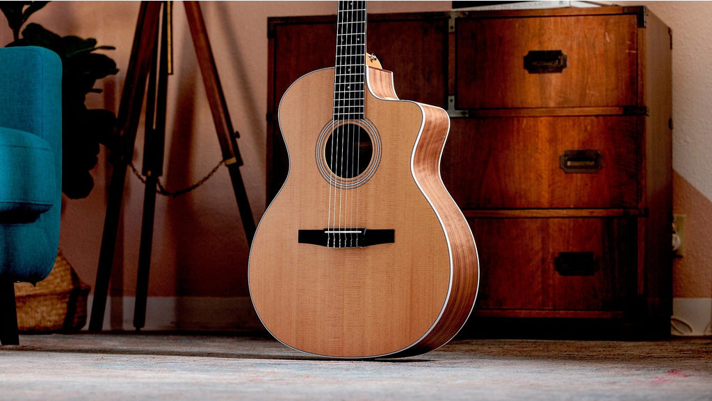 Đàn Guitar Classic Taylor 214ce-N - Natural