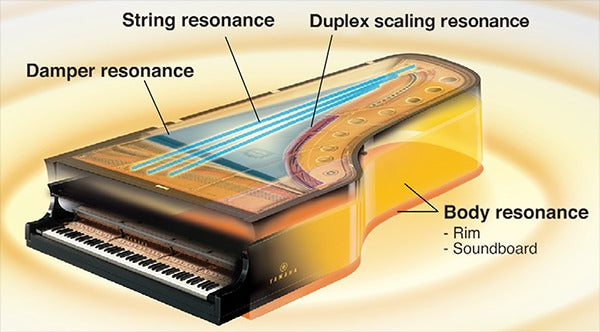 Virtual Resonance Modeling (Mô hình cộng hưởng ảo) trên Yamaha CLP-775