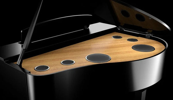 Âm thanh cộng hưởng toàn diện, giống như đàn piano cơ trên Yamaha CLP-795GP