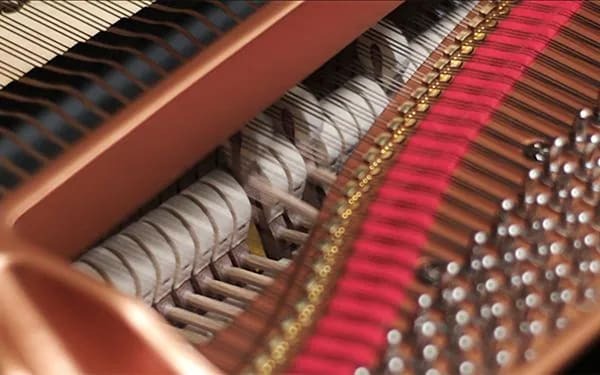 Grand Expression Modeling là một công nghệ mới mang tính đột phá cho phép nghệ sĩ piano sử dụng các kỹ thuật của họ để tạo ra sự biến đổi âm sắc không giới hạn riêng có ở đàn đại dương cầm