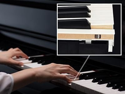 Đối trọng được đưa vào các phím đàn của một cây đại dương cầm để cân bằng trọng lượng của búa và mang đến khả năng kiểm soát chính xác hơn khi chơi một cách tinh tế ở âm lượng thấp trên Yamaha CVP-905