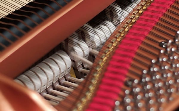 Grand Expression Modeling là một công nghệ mới mang tính đột phá cho phép nghệ sĩ piano sử dụng các kỹ thuật của họ để tạo ra sự biến đổi âm sắc không giới hạn riêng có ở đàn đại dương cầm trên Yamaha CVP-905