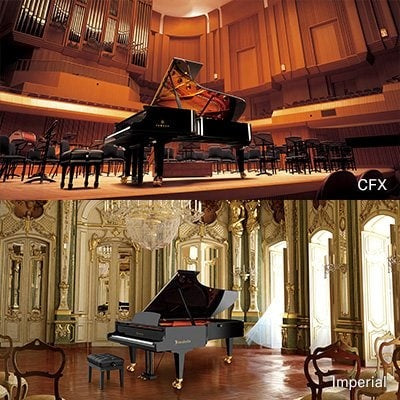 Tiếng đàn đại dương cầm trên Clavinova được ghi lại từ một số cây đại dương cầm thính phòng nổi tiếng thế giới trên Yamaha CVP-905