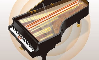 Hiện tượng này được tái tạo hoàn hảo trong đàn Clavinova thông qua Mô hình cộng hưởng ảo (VRM) trên Yamaha CVP-905