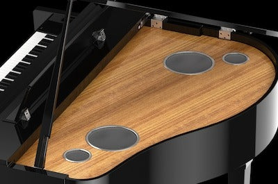 HỆ THỐNG ÂM THANH VỚI CẢM GIÁC CHIỀU SÂU trên Yamaha CVP-905