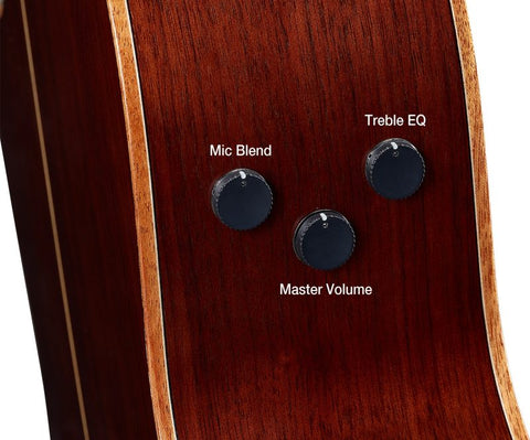 Hệ thống Pickup và Preamp Atmosfeel