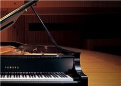 P-105 được tích hợp sẵn loa hình tròn