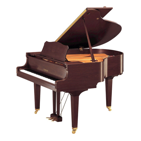Yamaha GC1 Grand Piano, Satin American Walnut