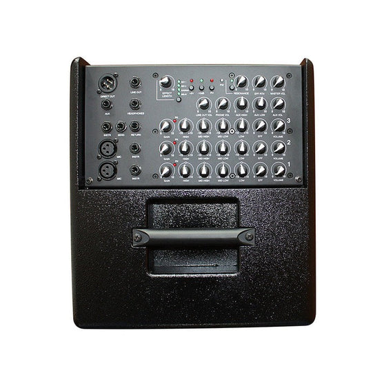 Amplifier Acus One Forstrings 8-Mai Nguyên Music