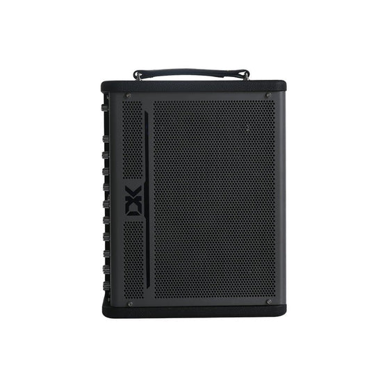 Amplifier DK IC-100-Mai Nguyên Music