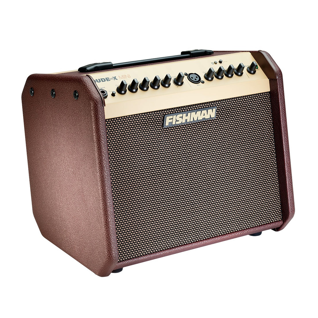 Amplifier Fishman Loudbox Mini Bluetooth 60W-Mai Nguyên Music