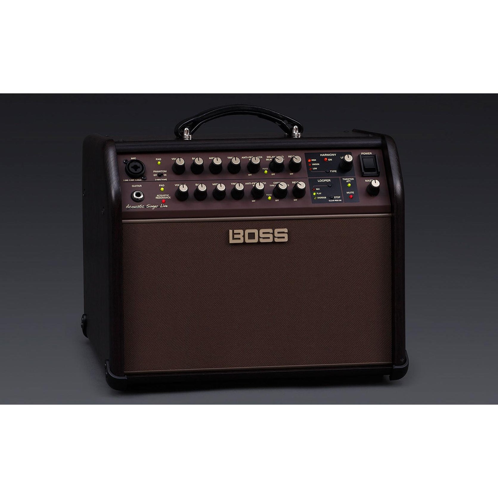 Amplifier Guitar Boss Acoustic Singer Live (ACS Live) 60-watt - Combo-Mai Nguyên Music