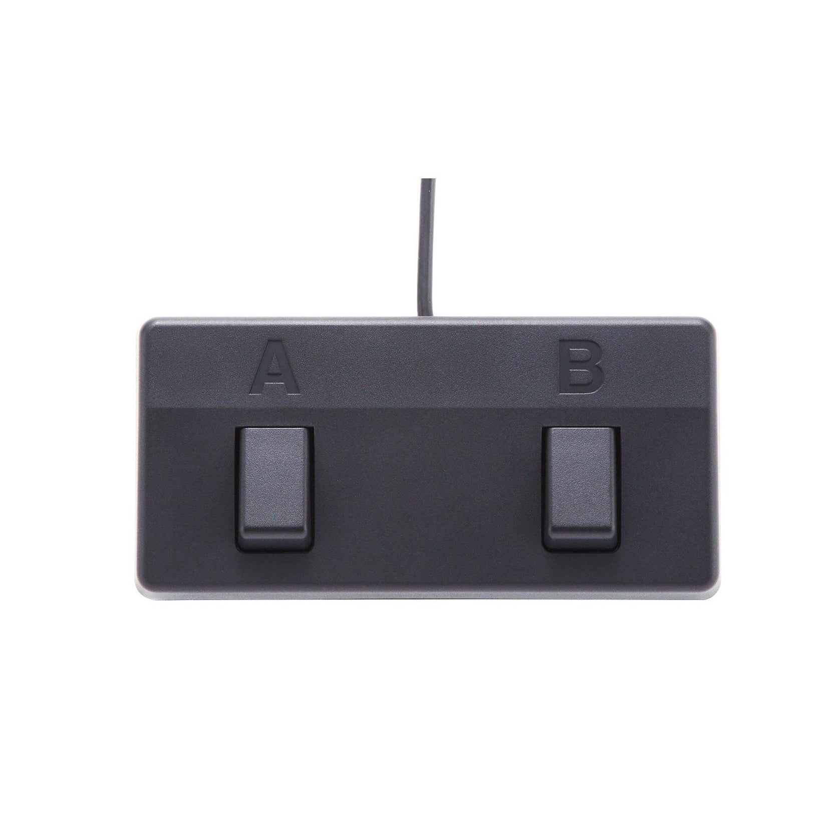 Amplifier Guitar Boss Acoustic Singer Live (ACS Live) 60-watt - Combo-Mai Nguyên Music