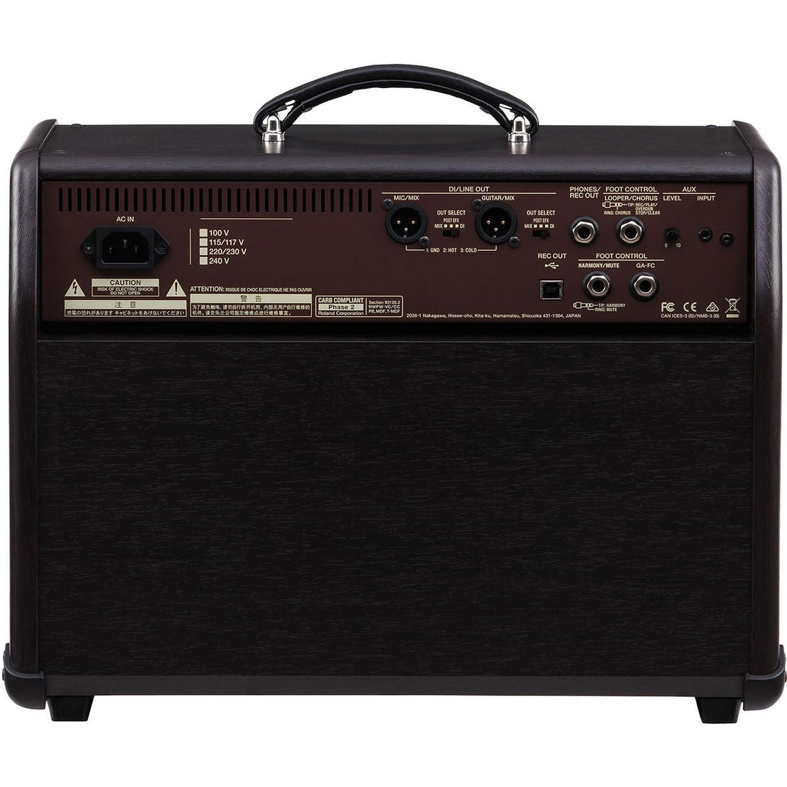 Amplifier Guitar Boss Acoustic Singer Pro (ACS Pro) 120-watt - Combo-Mai Nguyên Music