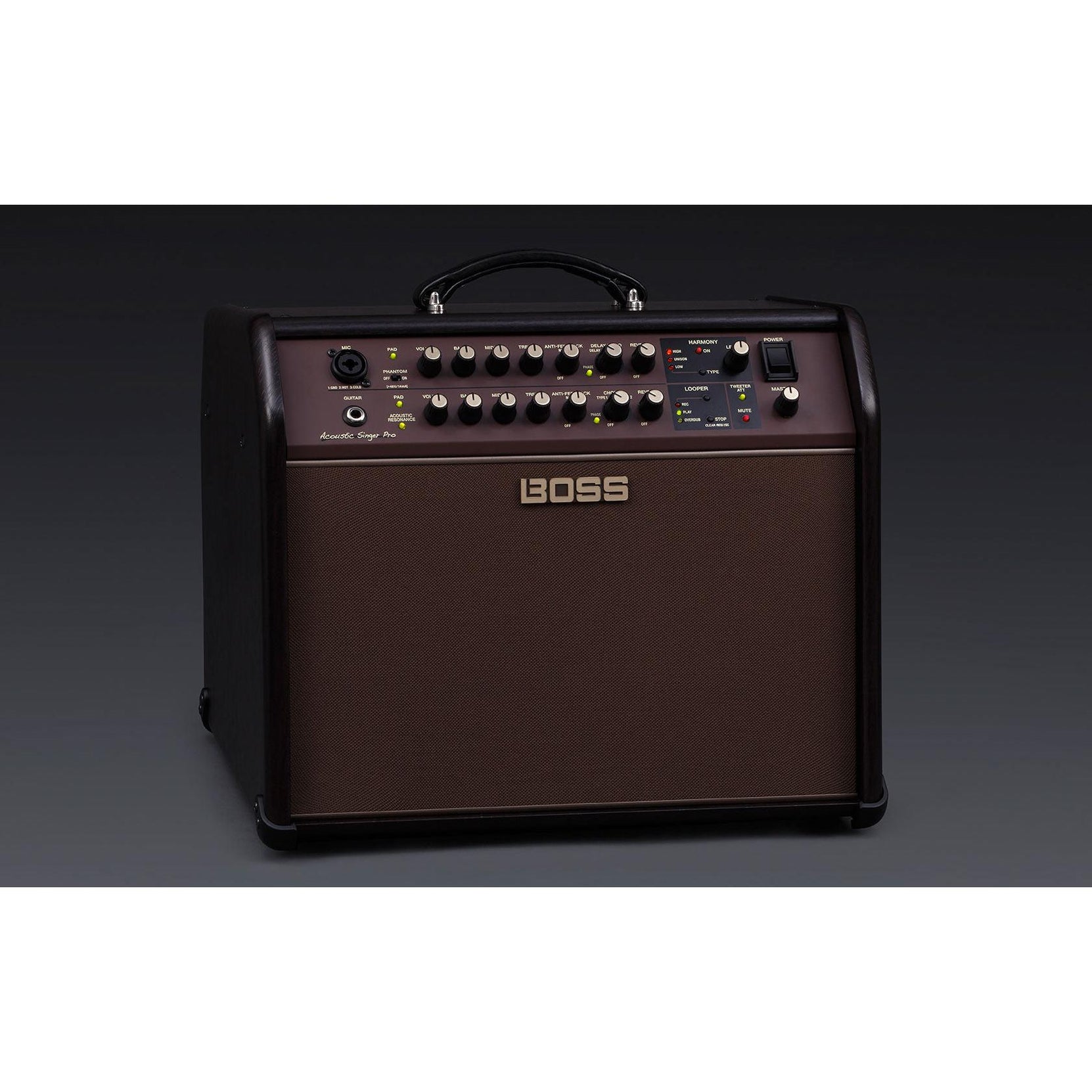 Amplifier Guitar Boss Acoustic Singer Pro (ACS Pro) 120-watt - Combo-Mai Nguyên Music