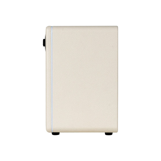 Amplifier Guitar Mooer Hornet 15i - Combo-Mai Nguyên Music