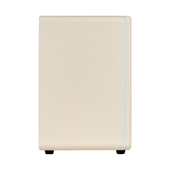 Amplifier Guitar Mooer Hornet 30i - Combo-Mai Nguyên Music