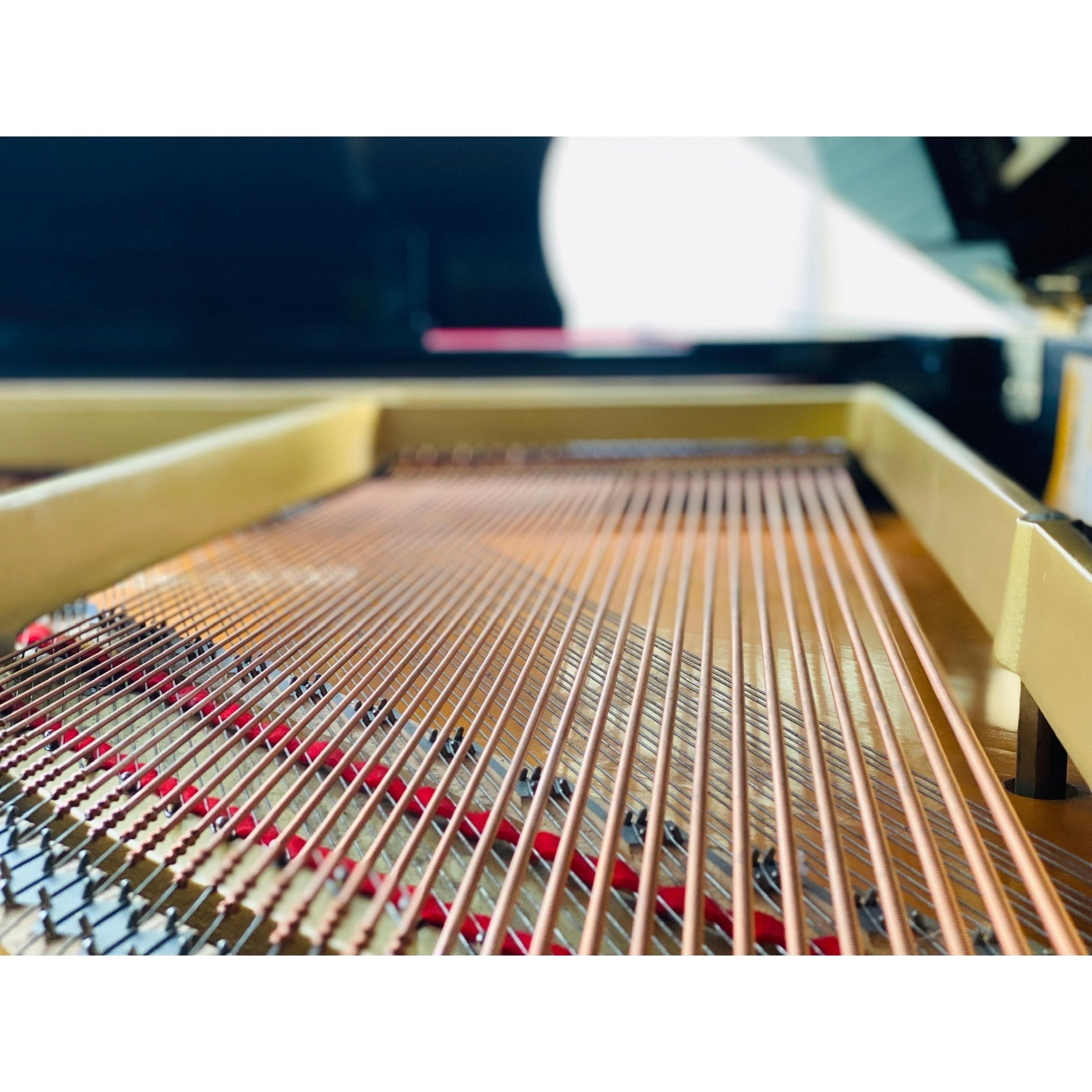 Đàn Grand Piano Yamaha G3E-Mai Nguyên Music