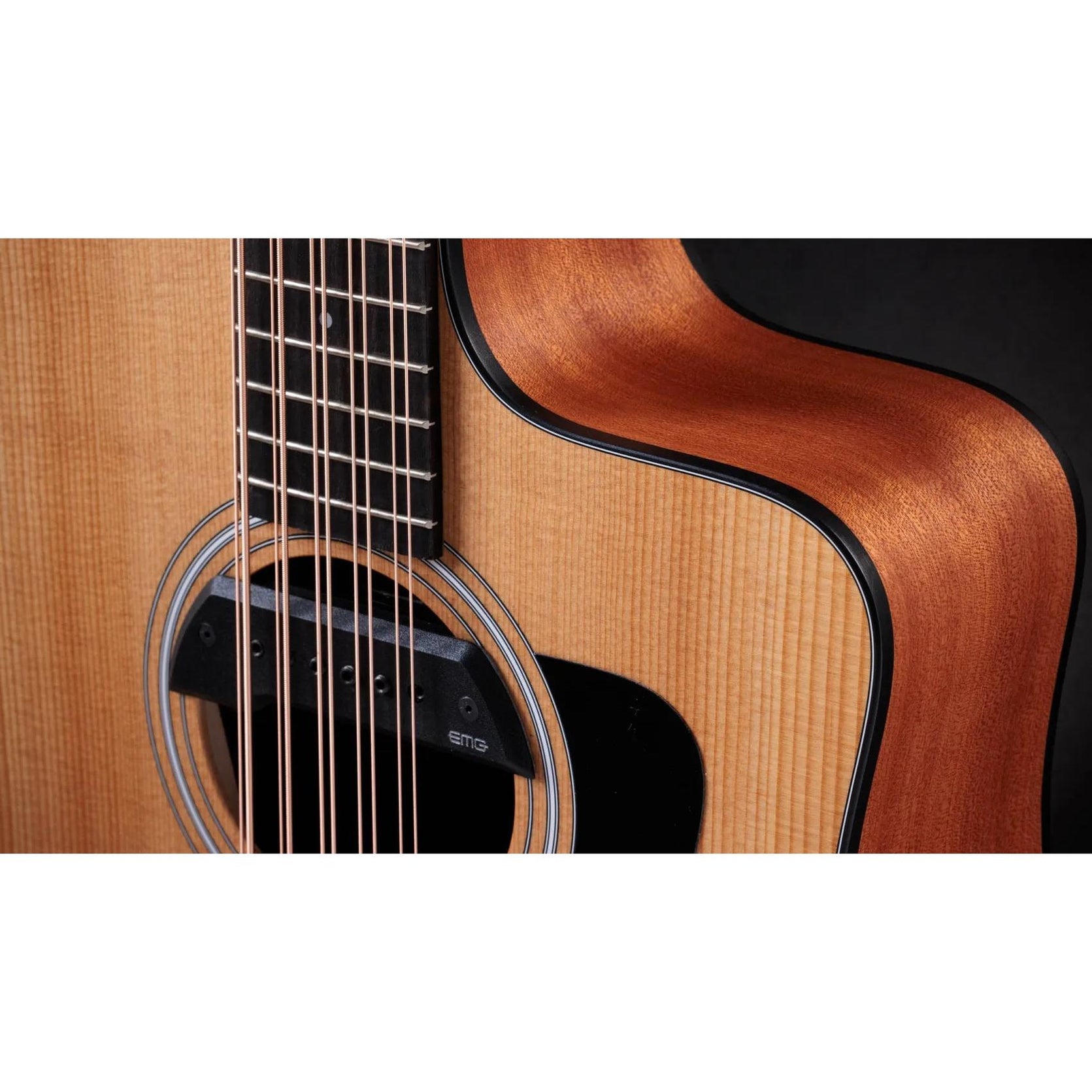 Đàn Guitar Acoustic 10-dây Taylor 150ce Bajo Quinto - Natural-Mai Nguyên Music