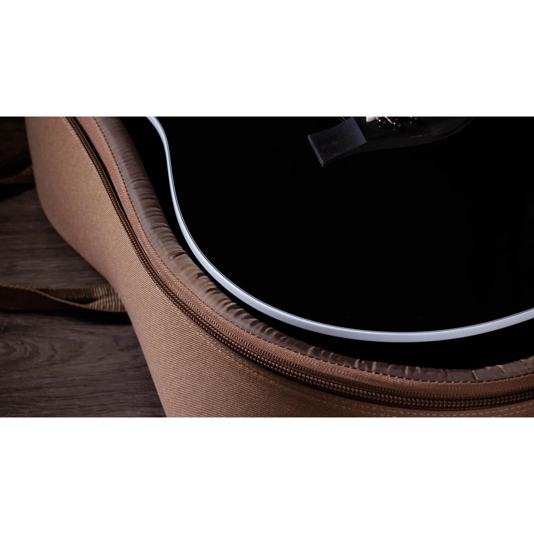Đàn Guitar Acoustic 10-dây Taylor 250ce Plus Bajo Quinto - Black-Mai Nguyên Music