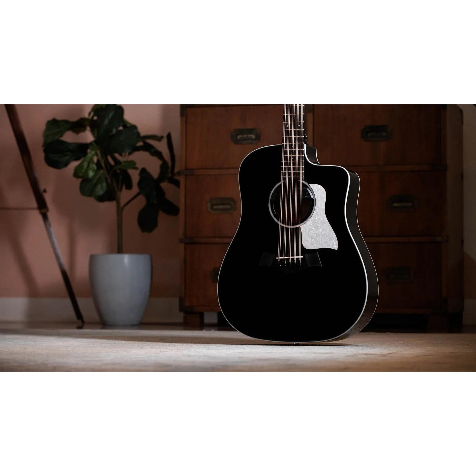 Đàn Guitar Acoustic 10-dây Taylor 250ce Plus Bajo Quinto - Black-Mai Nguyên Music