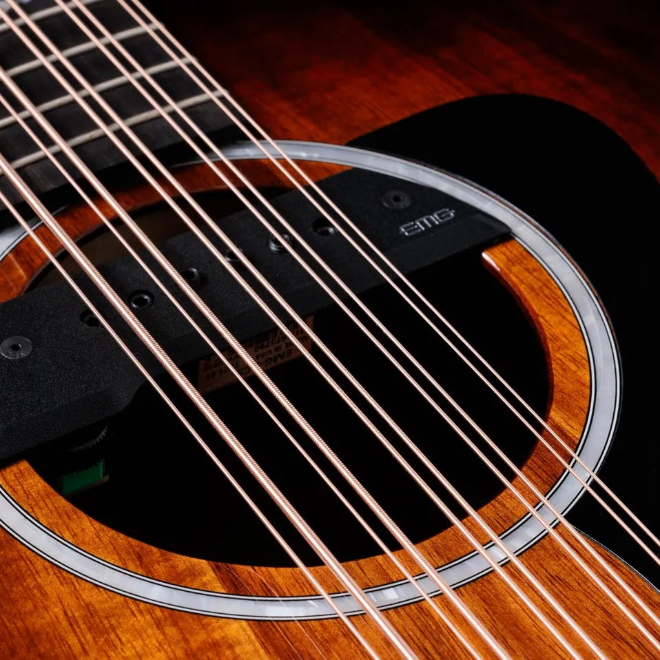 Đàn Guitar Acoustic 10-dây Taylor 260ce-K DLX Bajo Quinto - Shaded Edgeburst-Mai Nguyên Music
