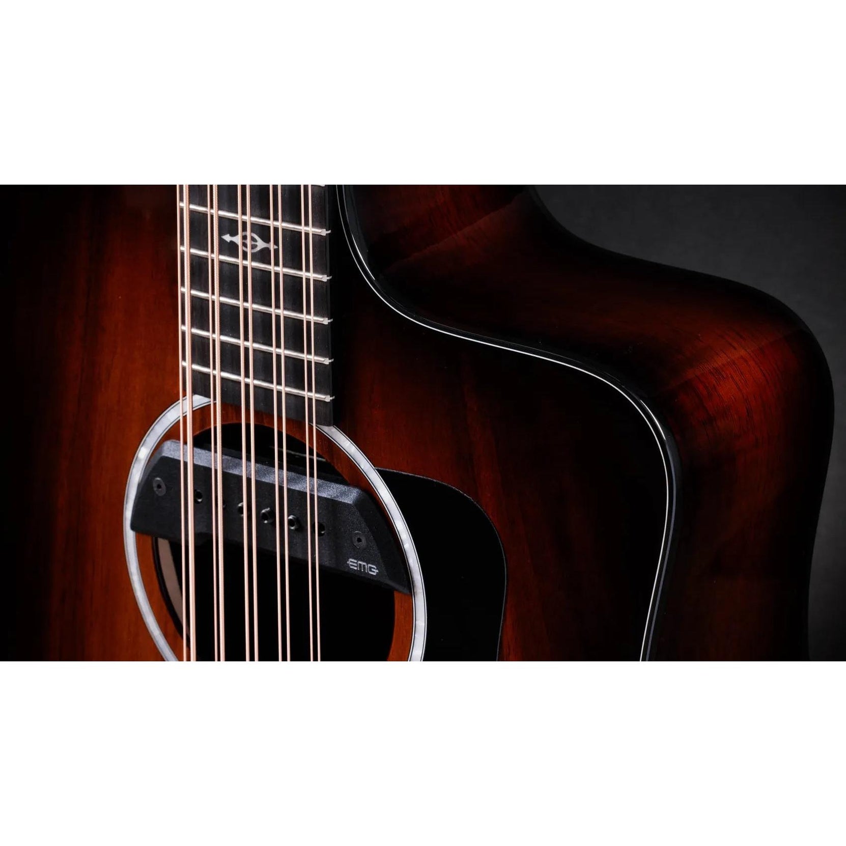 Đàn Guitar Acoustic 10-dây Taylor 260ce-K DLX Bajo Quinto - Shaded Edgeburst-Mai Nguyên Music