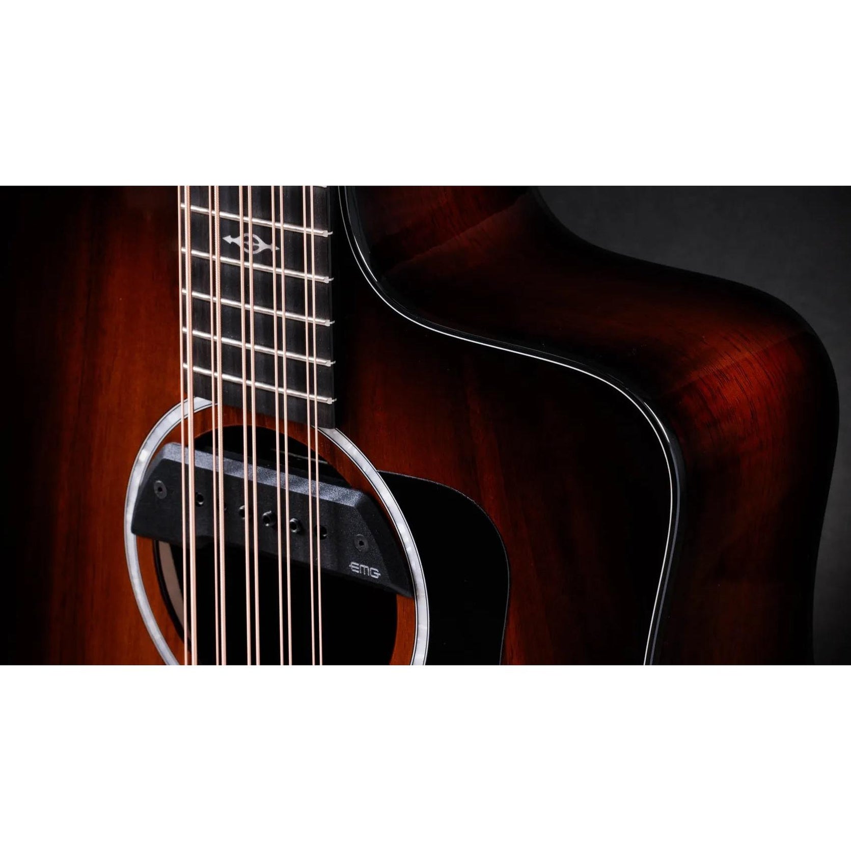 Đàn Guitar Acoustic 10-dây Taylor 260ce-K DLX Bajo Quinto - Shaded Edgeburst-Mai Nguyên Music