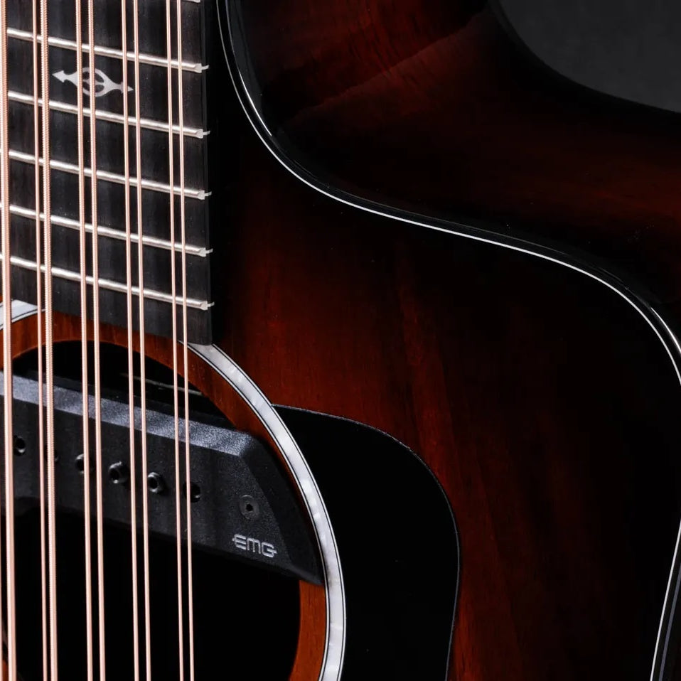 Đàn Guitar Acoustic 10-dây Taylor 260ce-K DLX Bajo Quinto - Shaded Edgeburst-Mai Nguyên Music