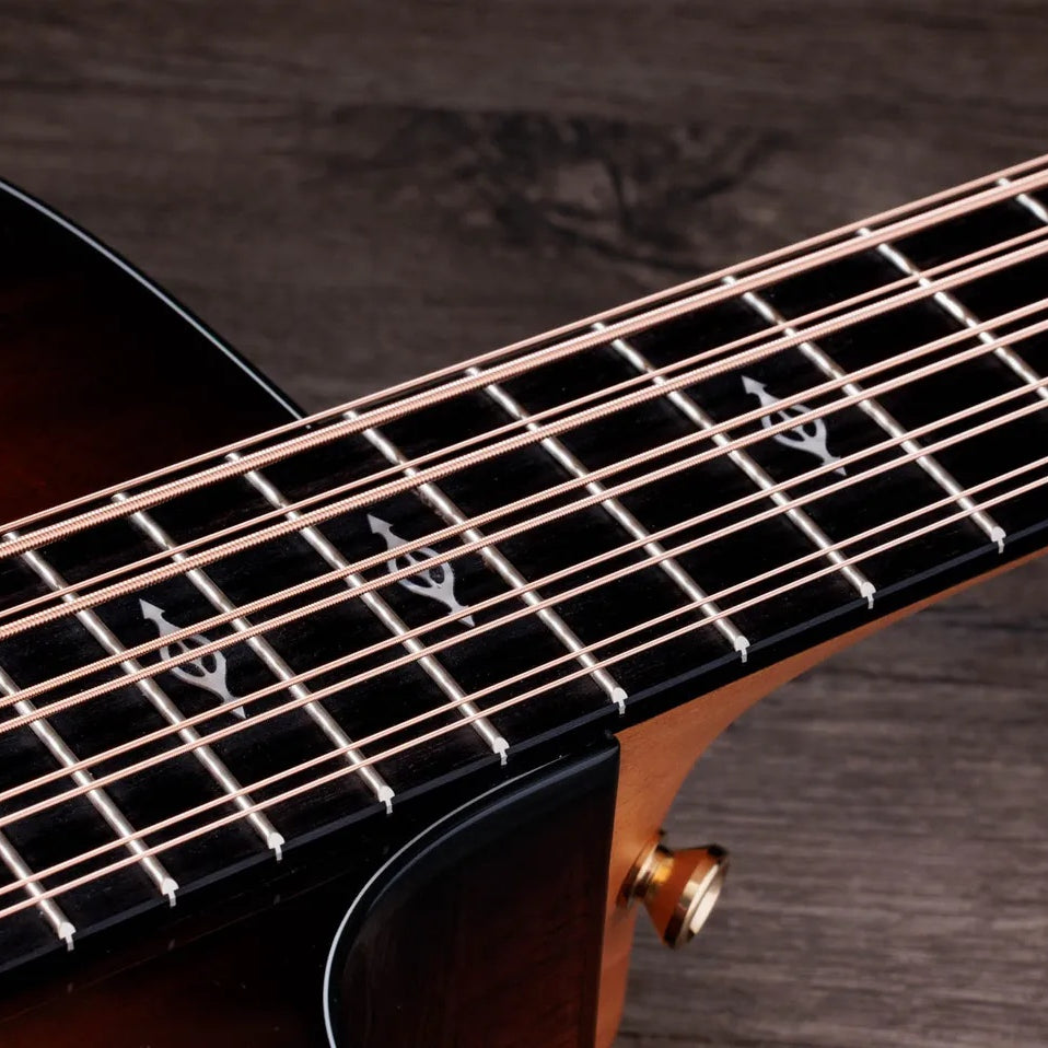 Đàn Guitar Acoustic 10-dây Taylor 260ce-K DLX Bajo Quinto - Shaded Edgeburst-Mai Nguyên Music