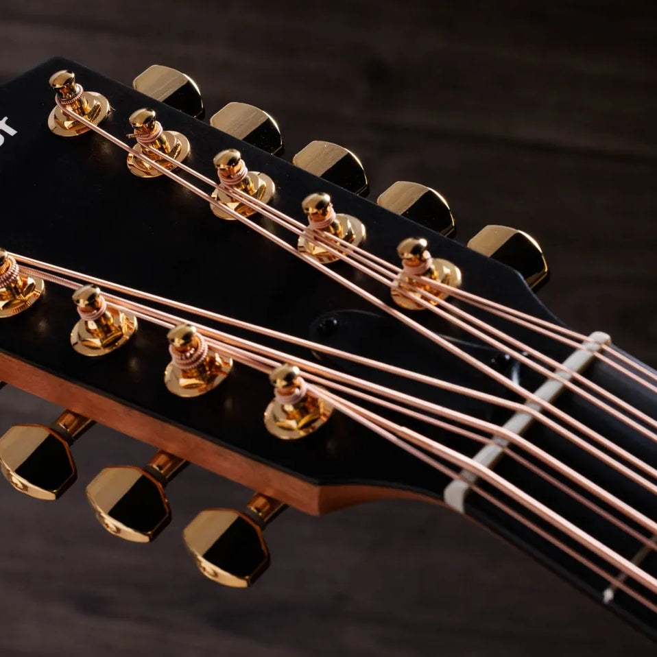 Đàn Guitar Acoustic 10-dây Taylor 260ce-K DLX Bajo Quinto - Shaded Edgeburst-Mai Nguyên Music