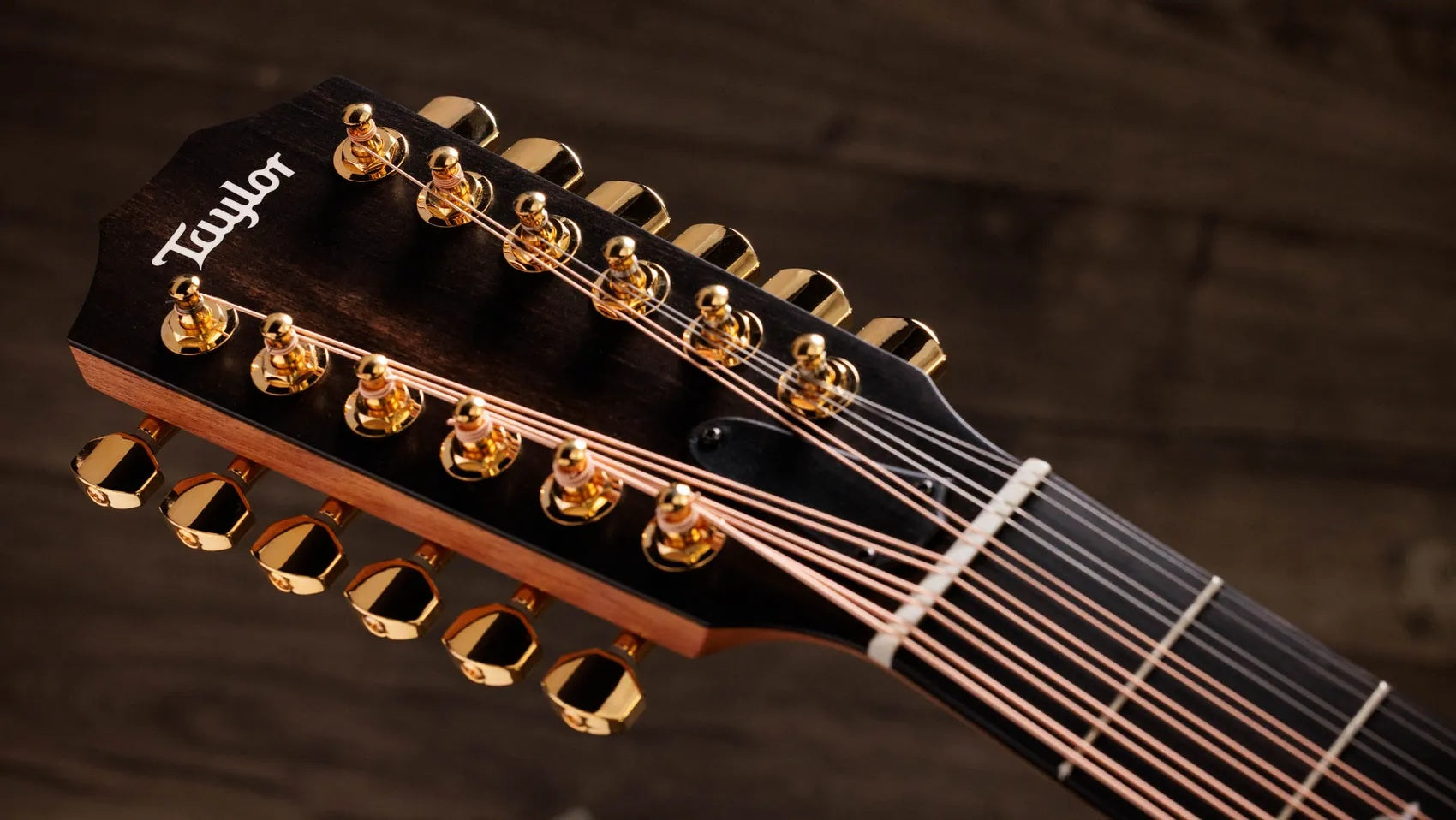 Đàn Guitar Acoustic 12-dây Taylor 260ce-K DLX Doce Doble - Shaded Edgeburst-Mai Nguyên Music