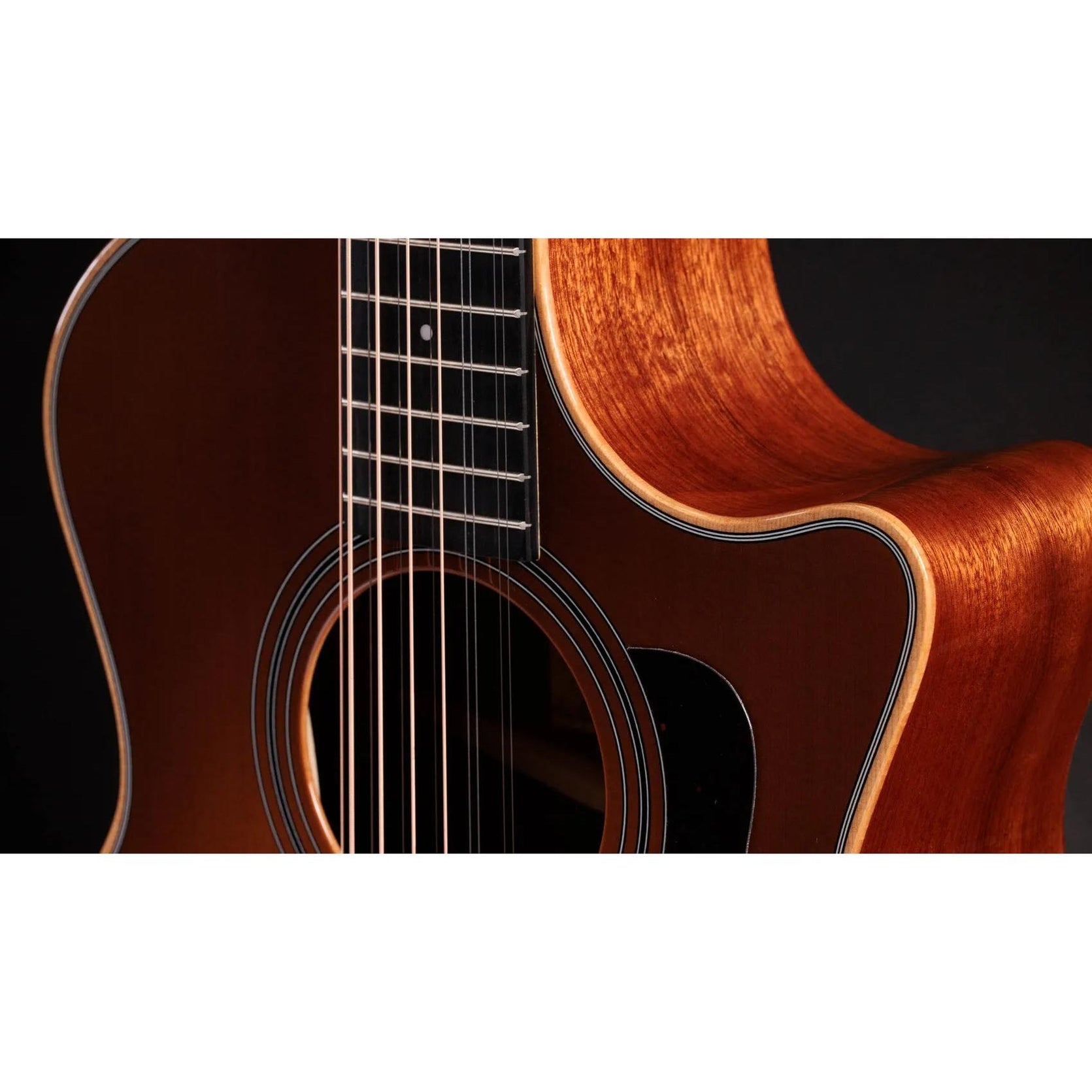 Đàn Guitar Acoustic 12-dây Taylor 354ce Studio Special Edition - Honeyburst-Mai Nguyên Music
